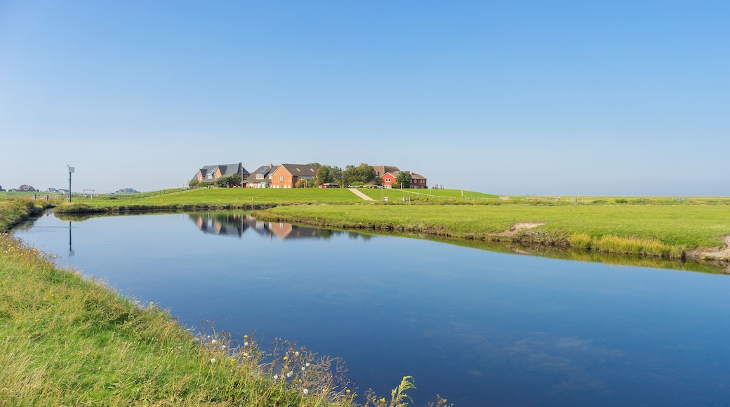 Hallig Hooge