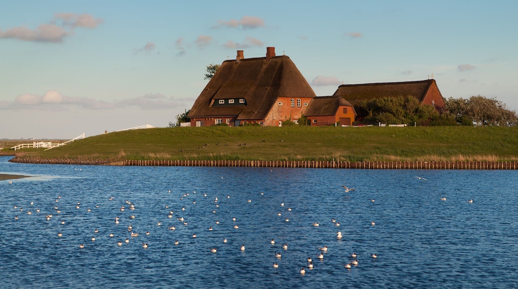 Hallig Hooge