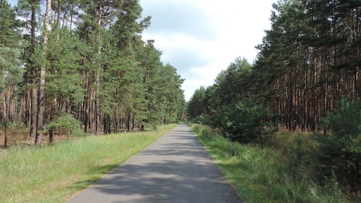 Dahmeradweg bei Rietzneuendorf-Staakow