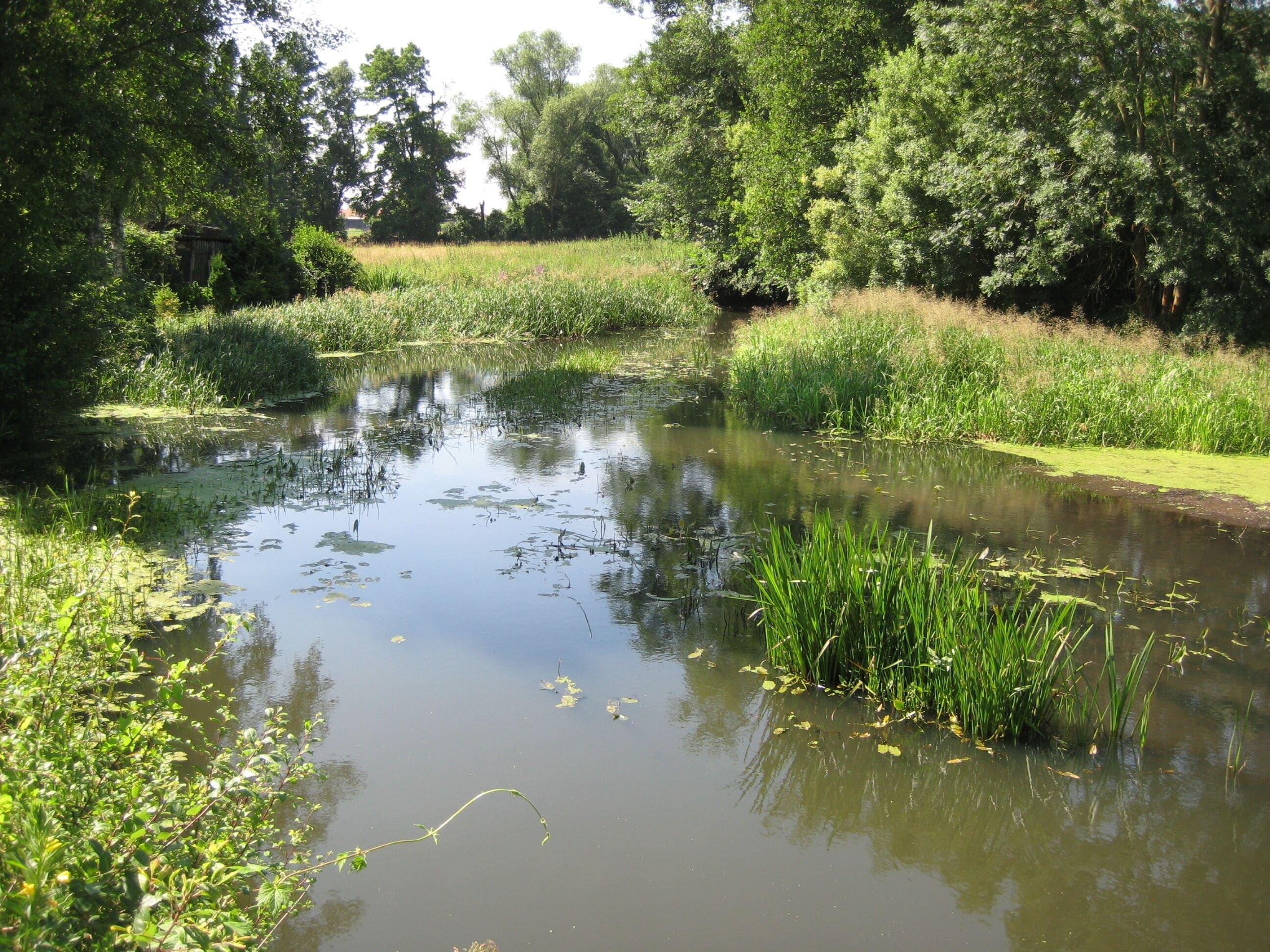 Die Dahme in Rietzneuendorf
