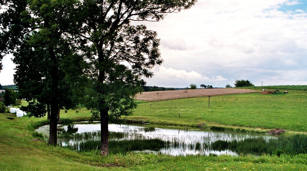 Lederhose (Thüringen), pond