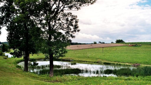 Lederhose (Thüringen), pond