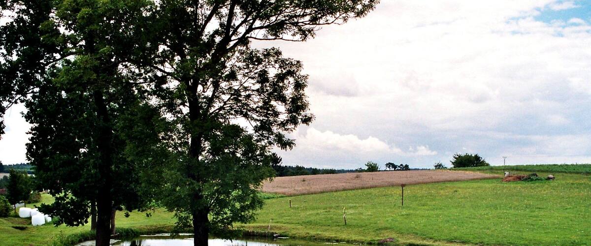 A grassy field with a pond, a large tree, and a distant hill.