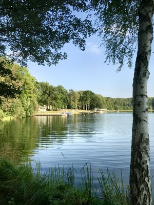 Das Waldbad Probst Jesar bietet eine Erfrischung.