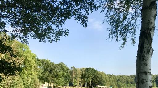 Das Waldbad Probst Jesar bietet eine Erfrischung.