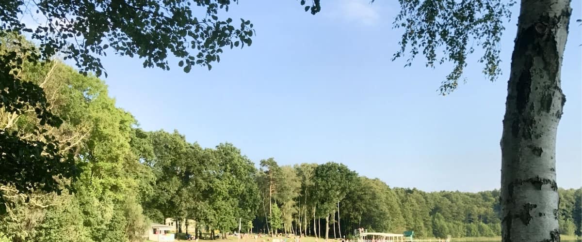A calm lake with a dock, surrounded by trees and grassy areas.