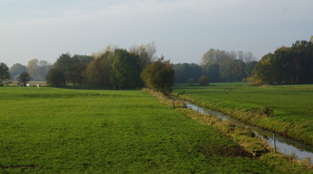 Elmshorn (Kölln), Germany: The valleyo f river Ekholter Au