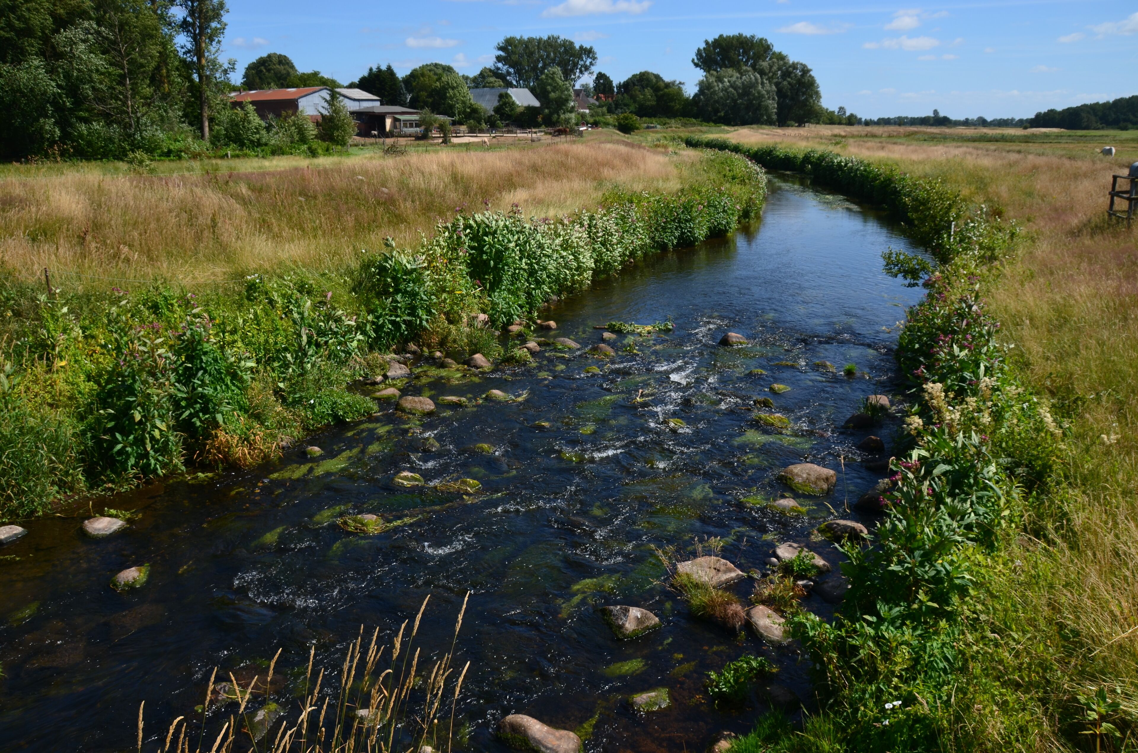 Die Rantzau südlich der K 45 in Winseldorf