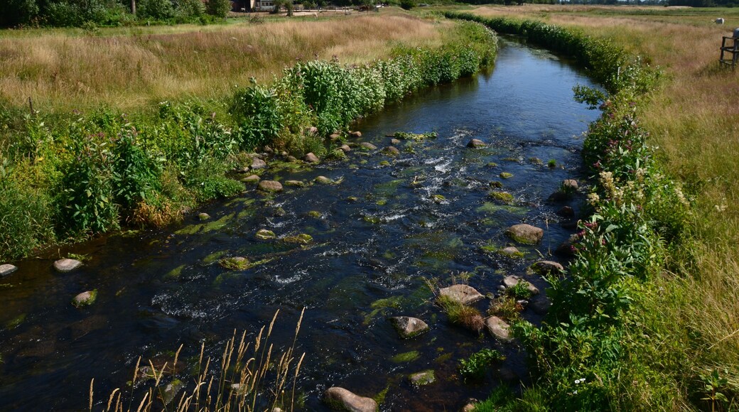 Die Rantzau südlich der K 45 in Winseldorf