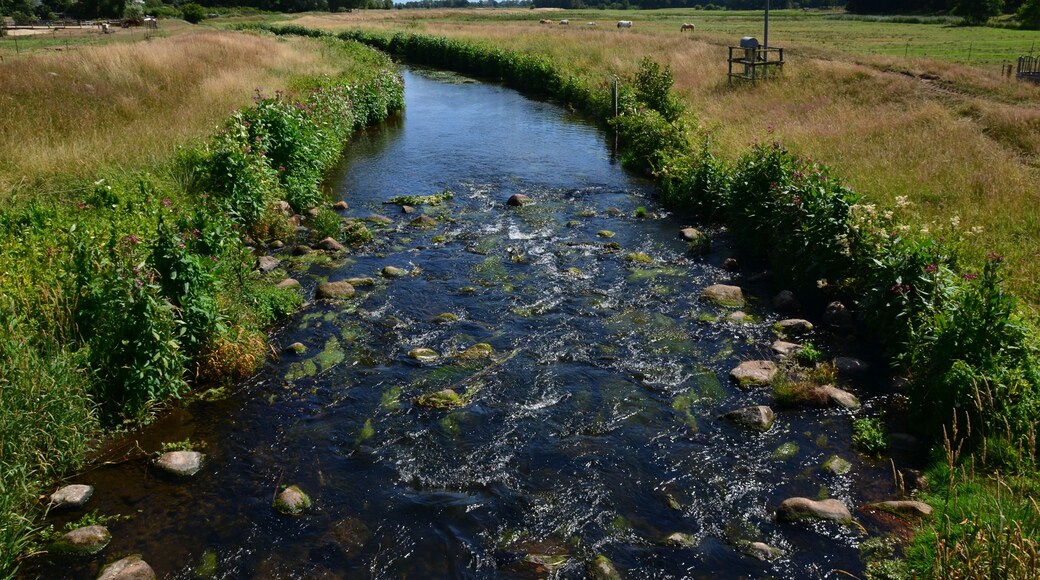 Die Rantzau südlich der K 45 in Winseldorf
