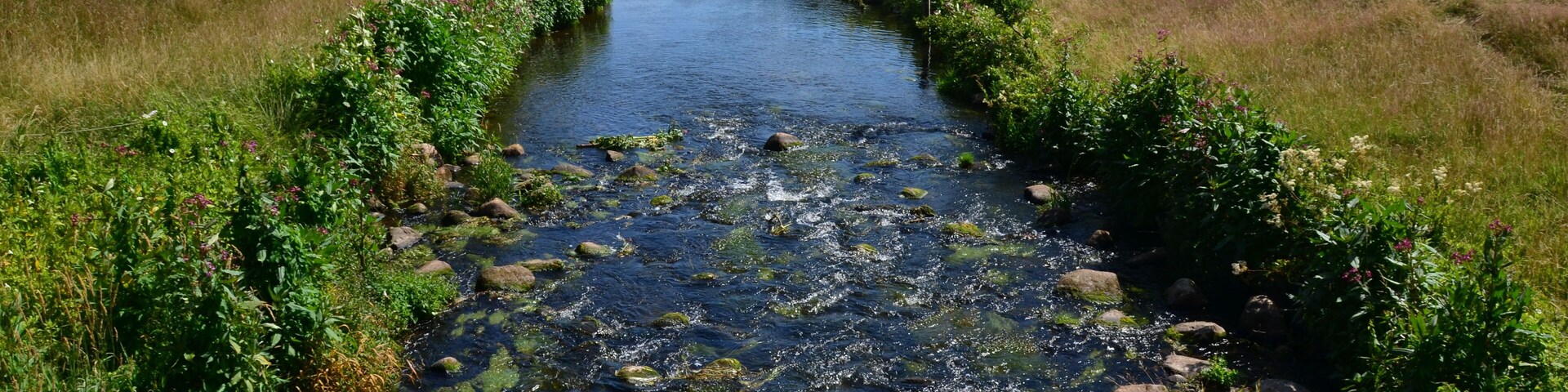 Die Rantzau sĂŒdlich der K 45 in Winseldorf
