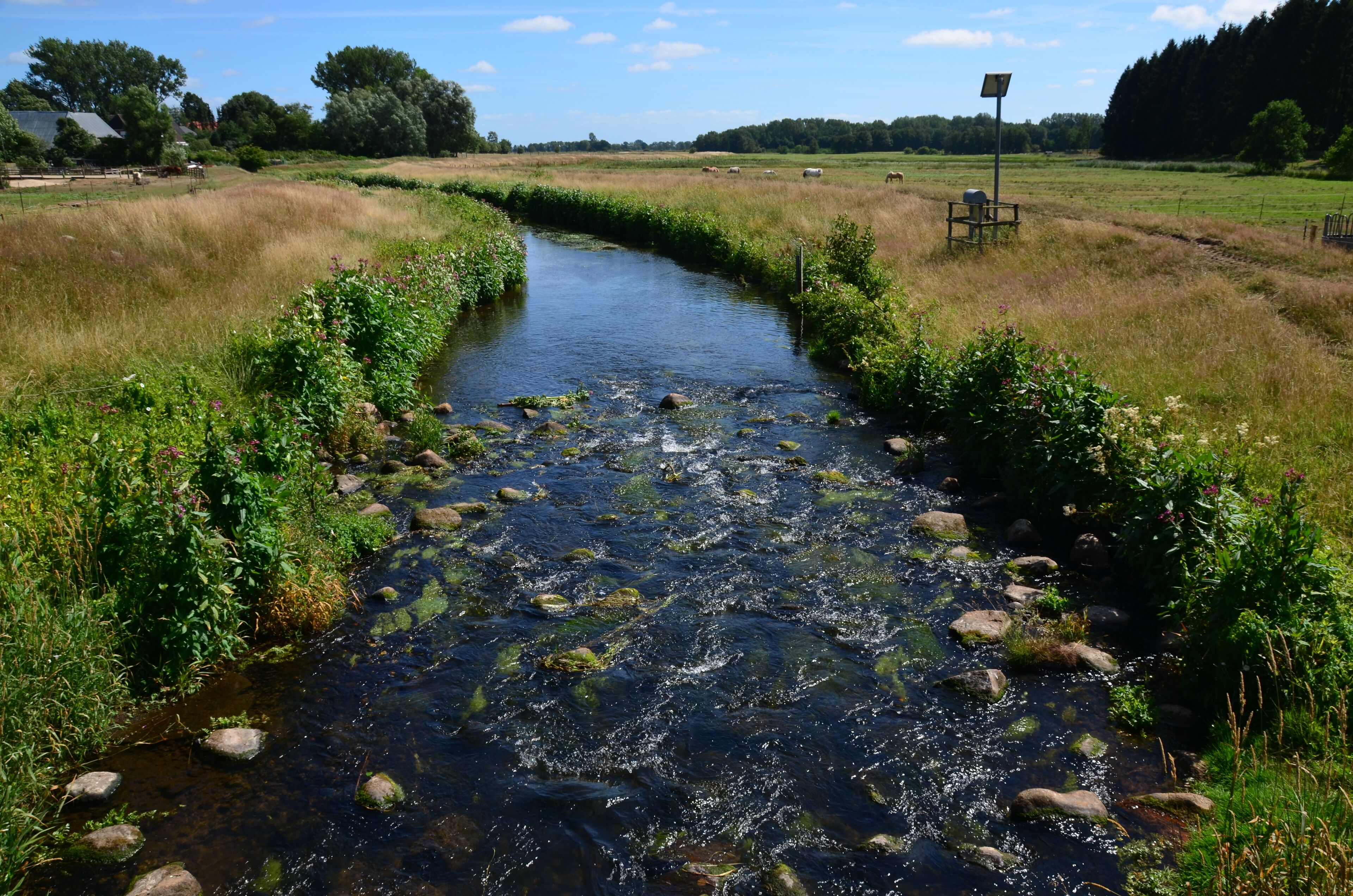 A narrow stream with rocks and vegetation on both sides.