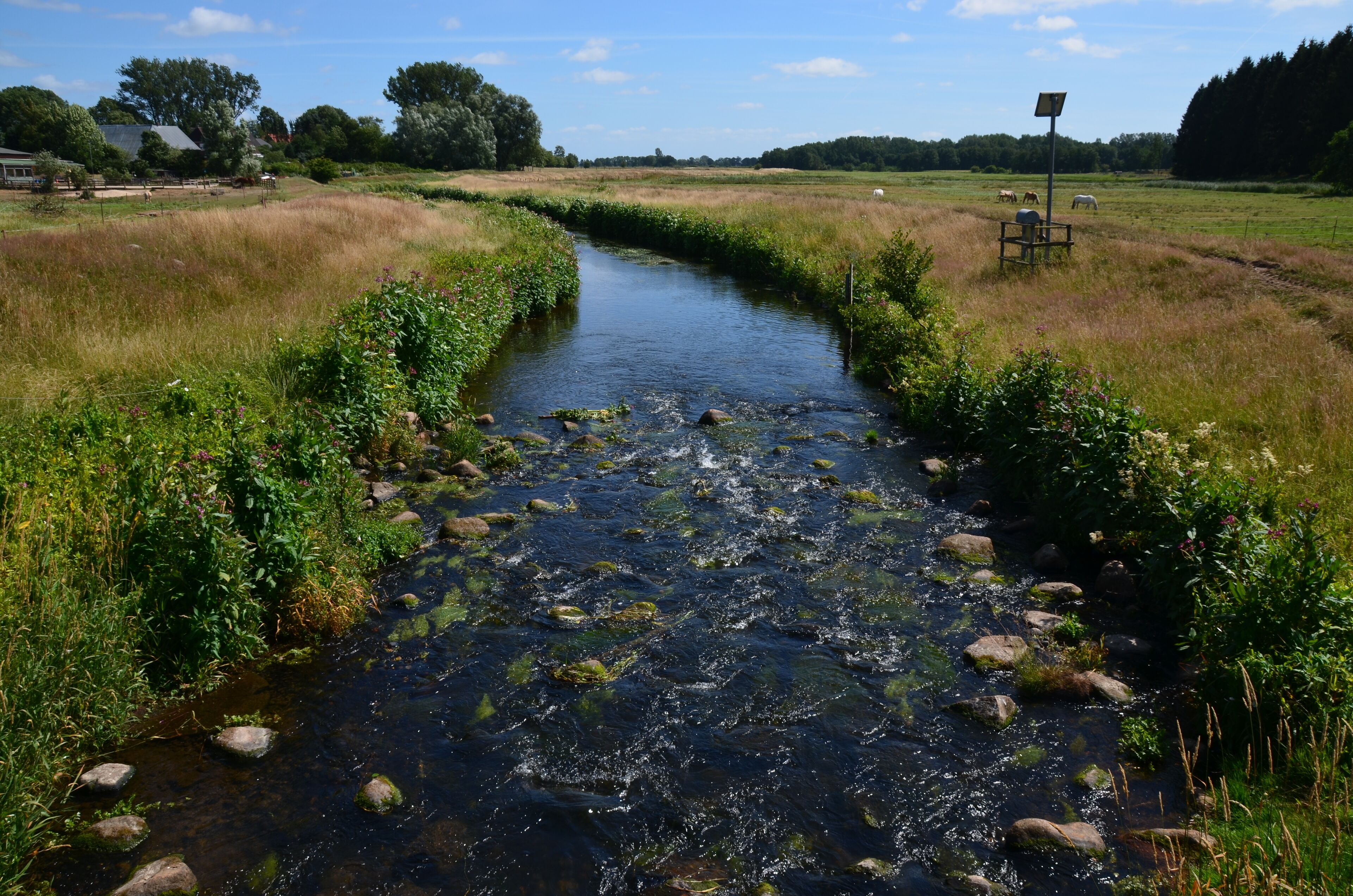 Die Rantzau südlich der K 45 in Winseldorf