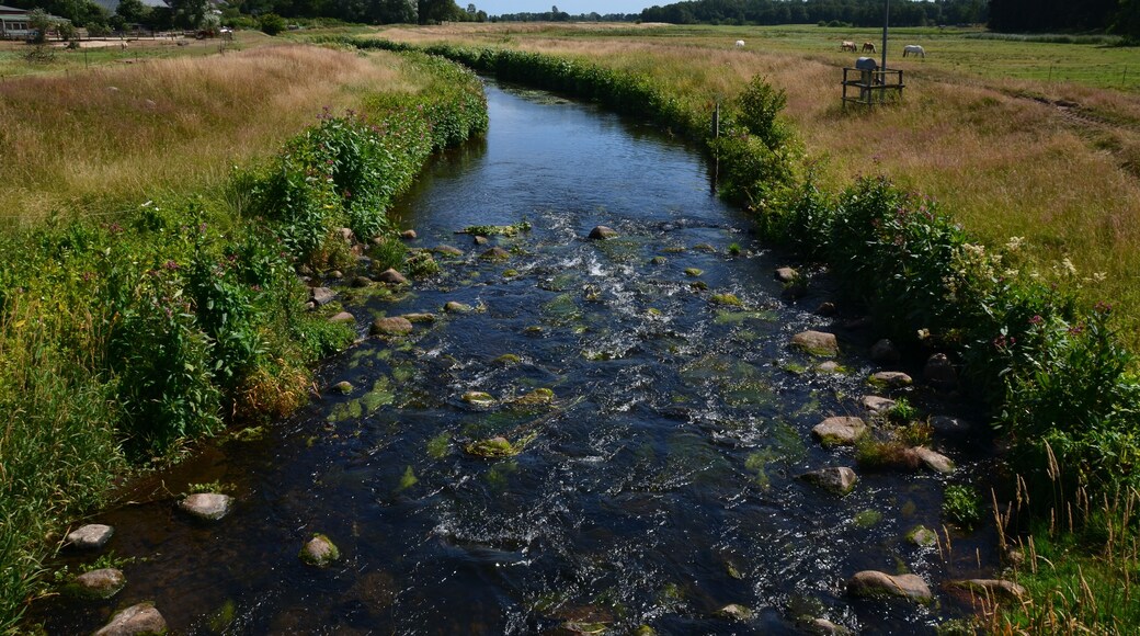 Die Rantzau südlich der K 45 in Winseldorf