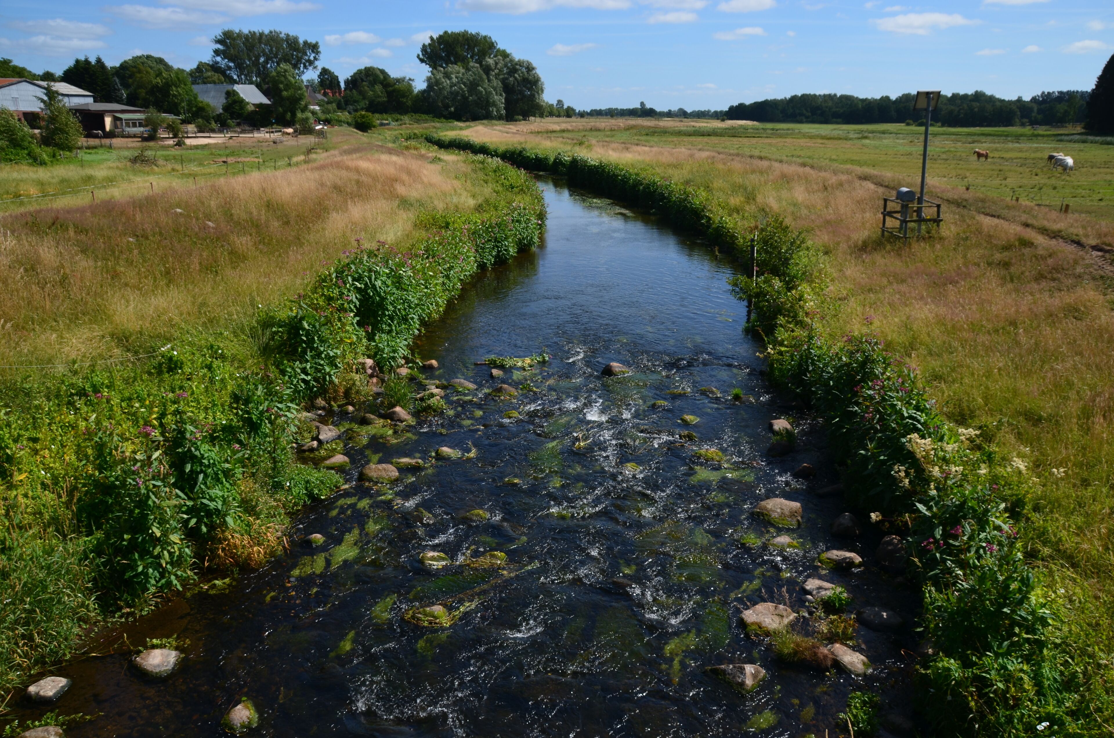 Die Rantzau südlich der K 45 in Winseldorf