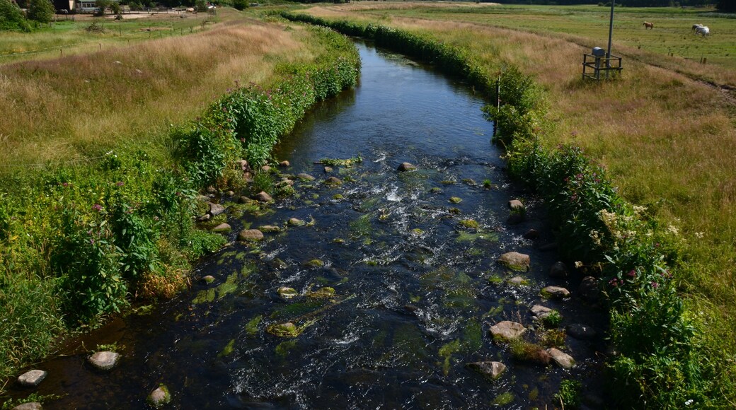 Die Rantzau südlich der K 45 in Winseldorf