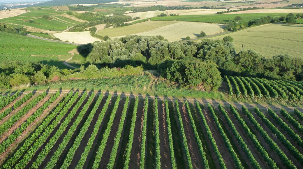Von Mandel nach Weinsheim