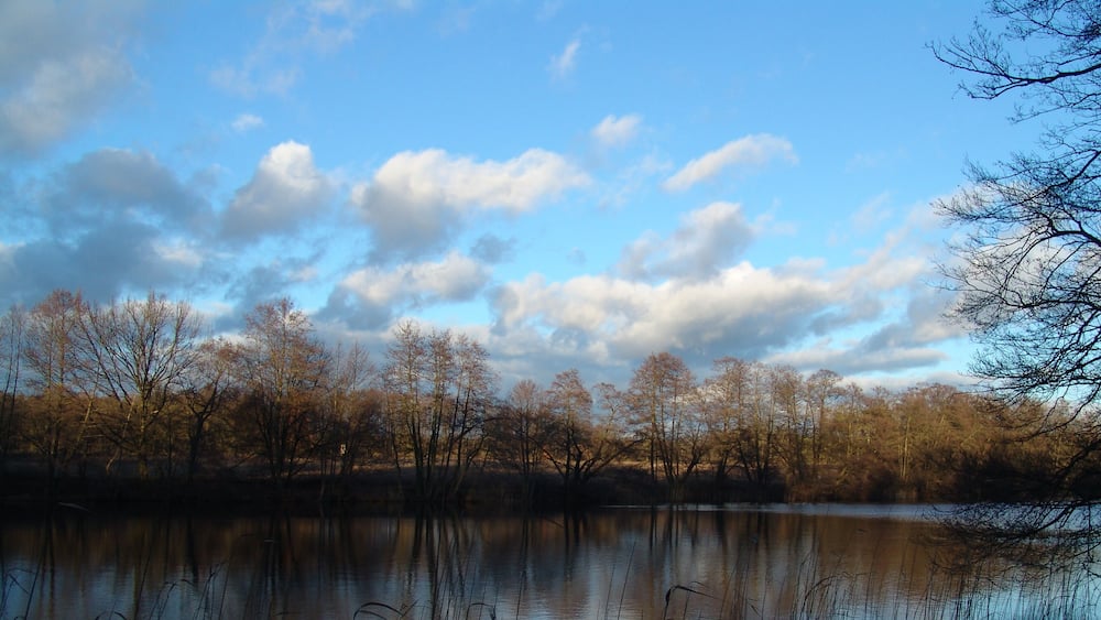 A calm lake with reflections of trees and sky.