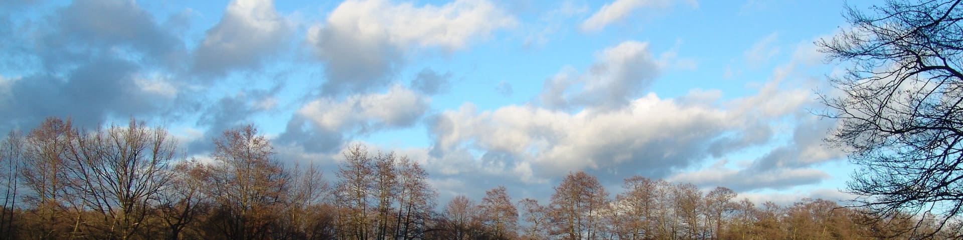 A calm lake with reflections of trees and sky.