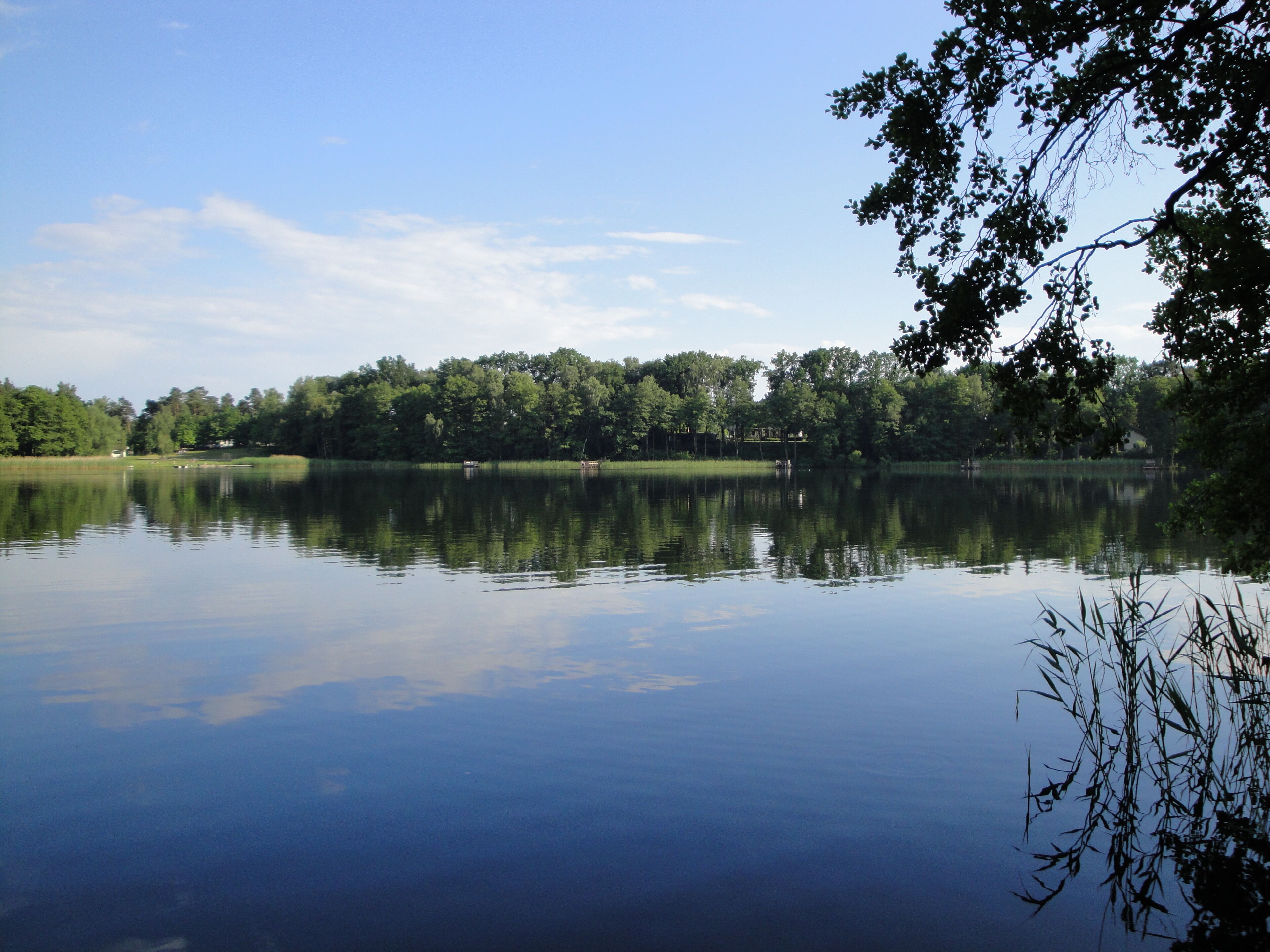 A calm lake with reflections of trees and a clear sky.