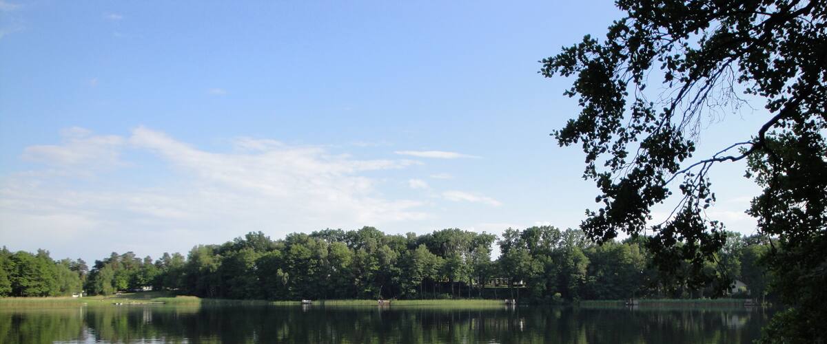 A calm lake with reflections of trees and a clear sky.