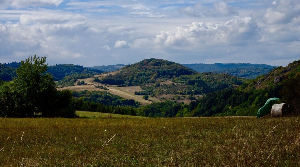 Late summer in the Nordpfälzer Bergland, the region centered between the river Rhine and the Fench Border.