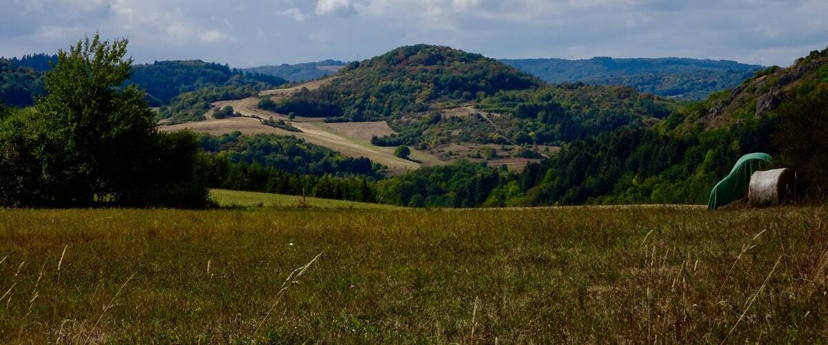 A rural landscape with rolling hills, a clear sky, and a distant airplane.