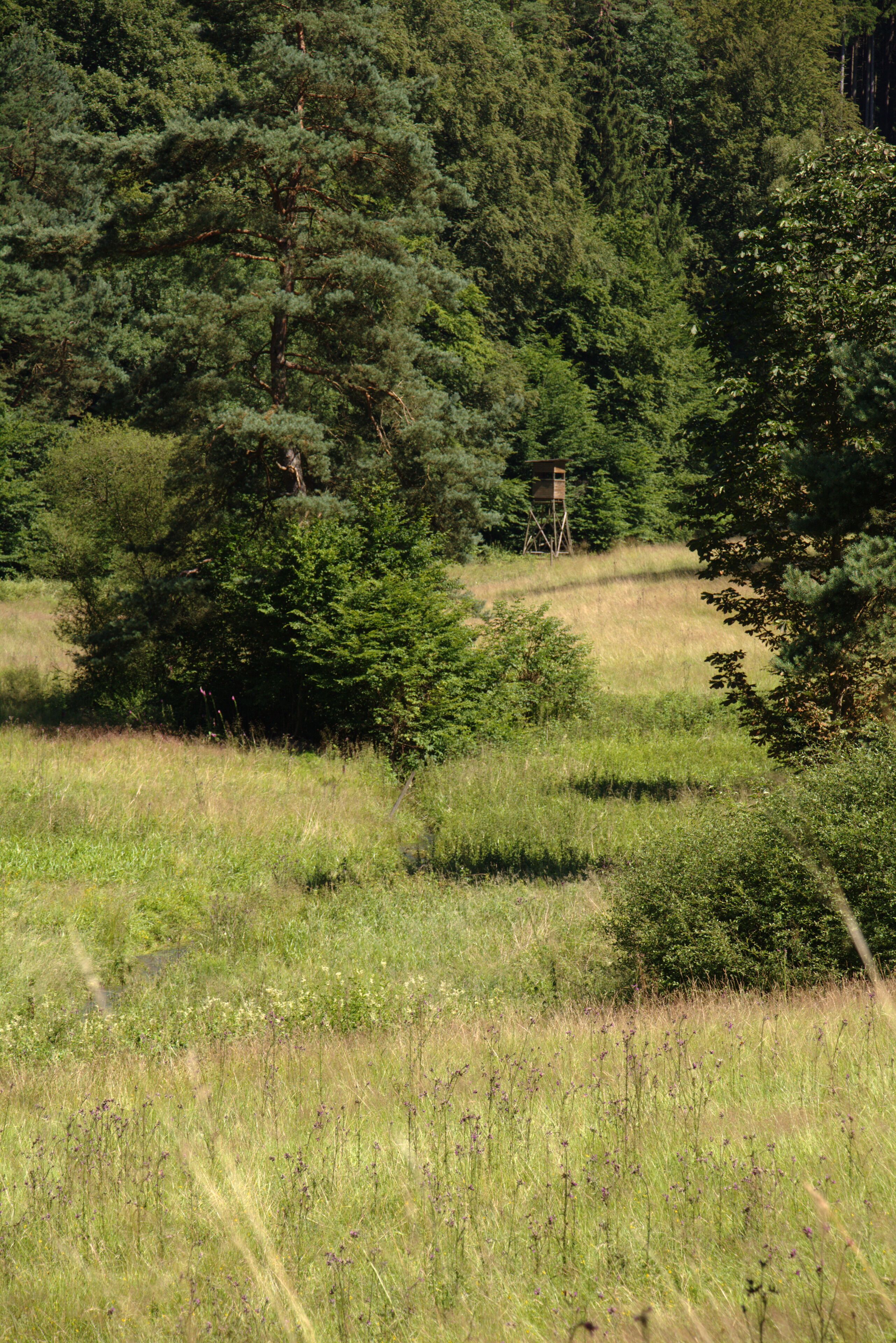 This is a picture of the protected area listed at WDPA under the ID