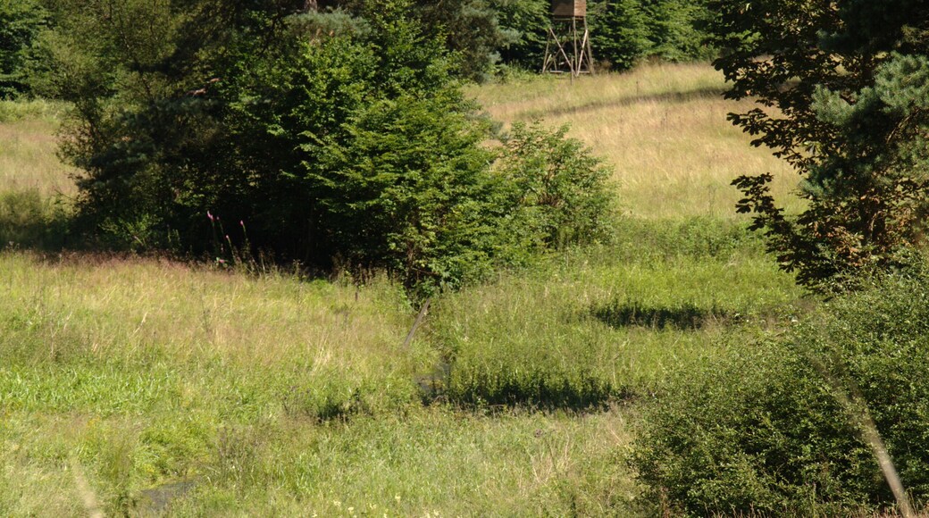 This is a picture of the protected area listed at WDPA under the ID