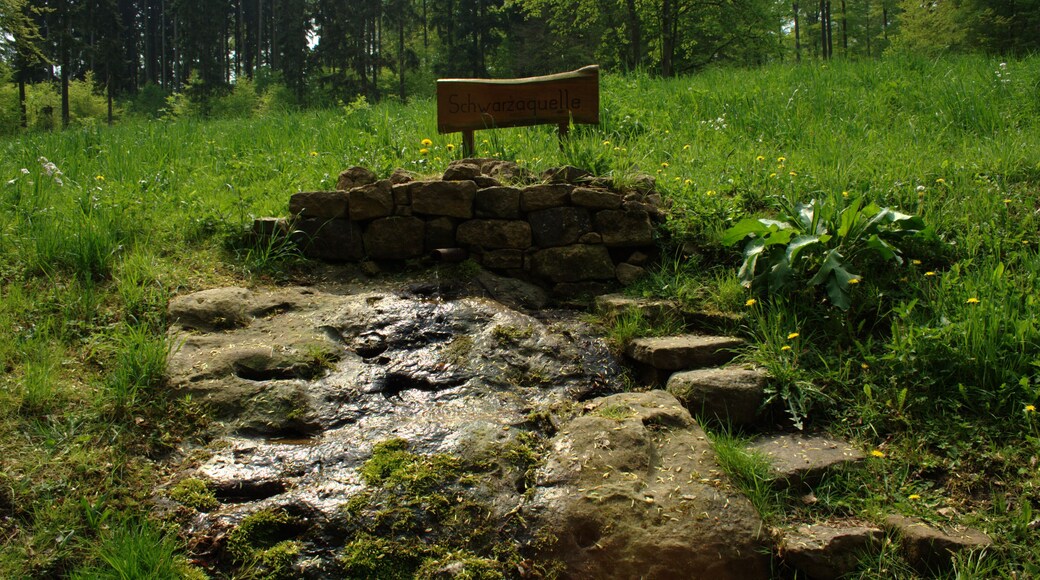 Spring of Schwarza stream southwest Schwarz/Grebenau (Hesse, Germany)