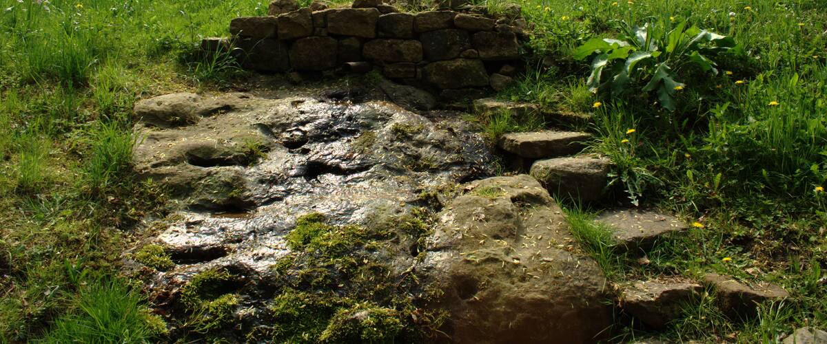 Spring of Schwarza stream southwest Schwarz/Grebenau (Hesse, Germany)