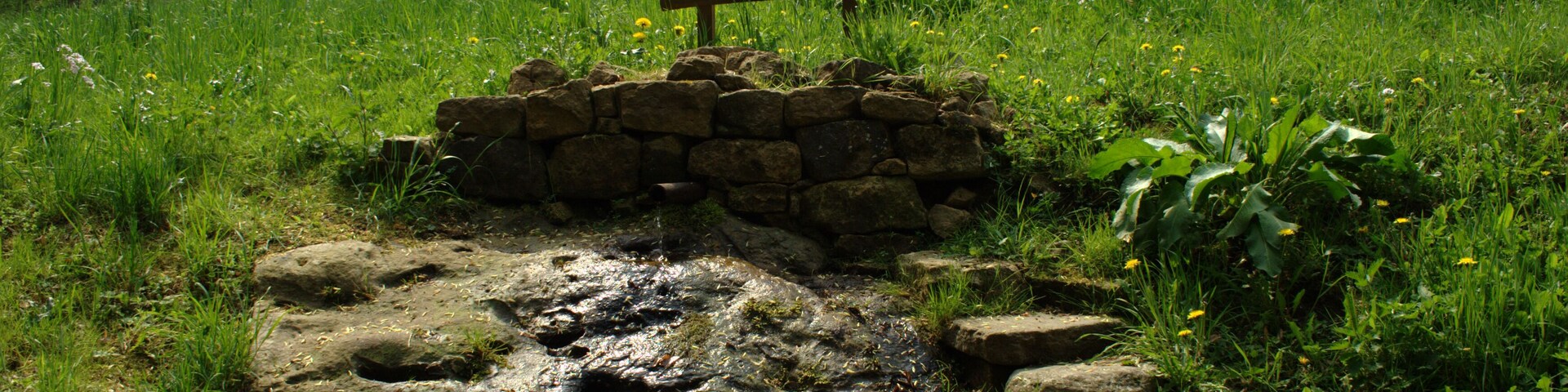 Spring of Schwarza stream southwest Schwarz/Grebenau (Hesse, Germany)