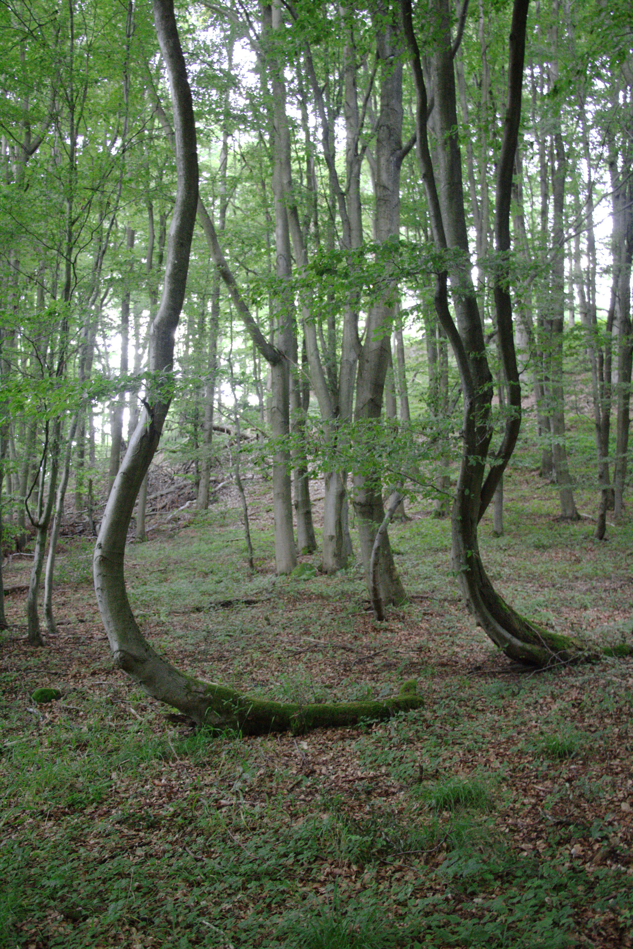 This is a picture of the protected area listed at WDPA under the ID