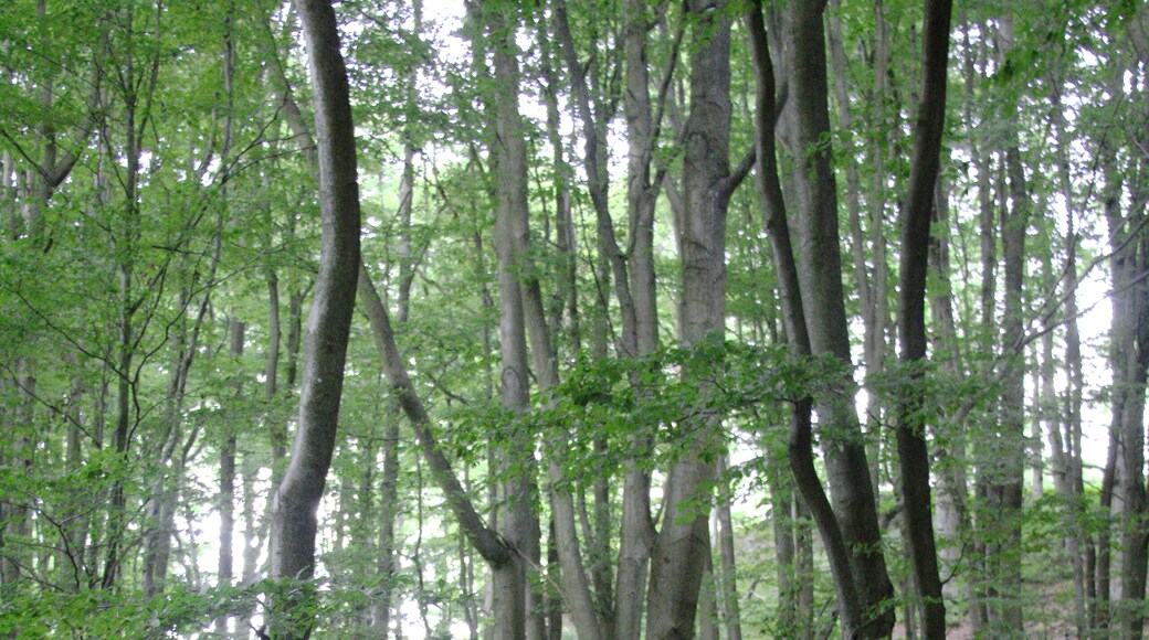 This is a picture of the protected area listed at WDPA under the ID