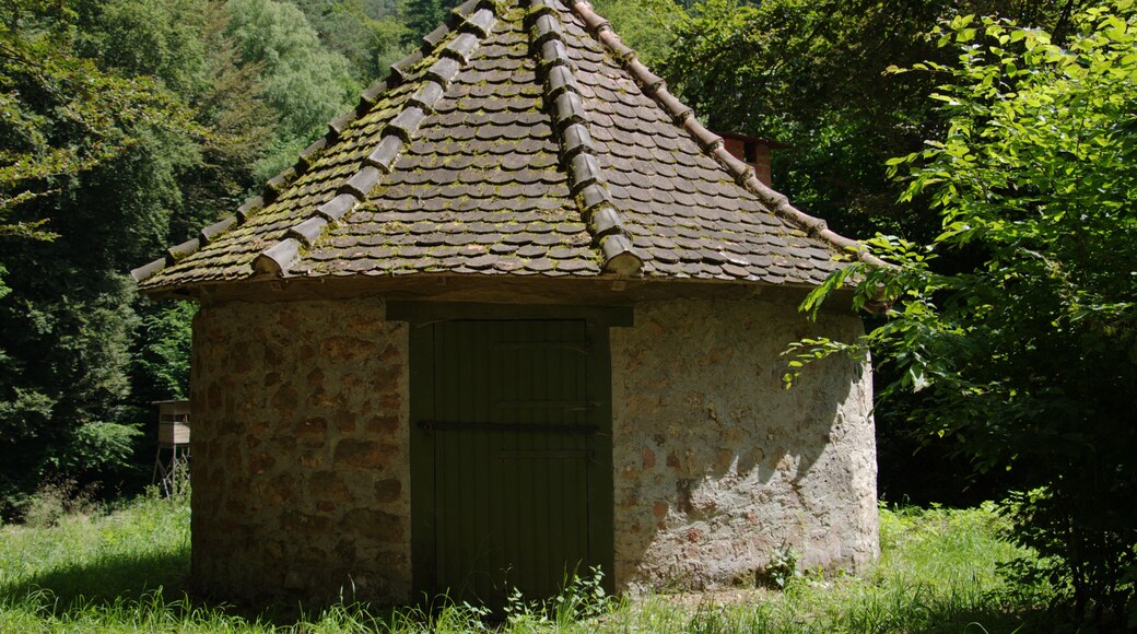 Building (Jagdschirm) near Grebenau / Hesse / Germany