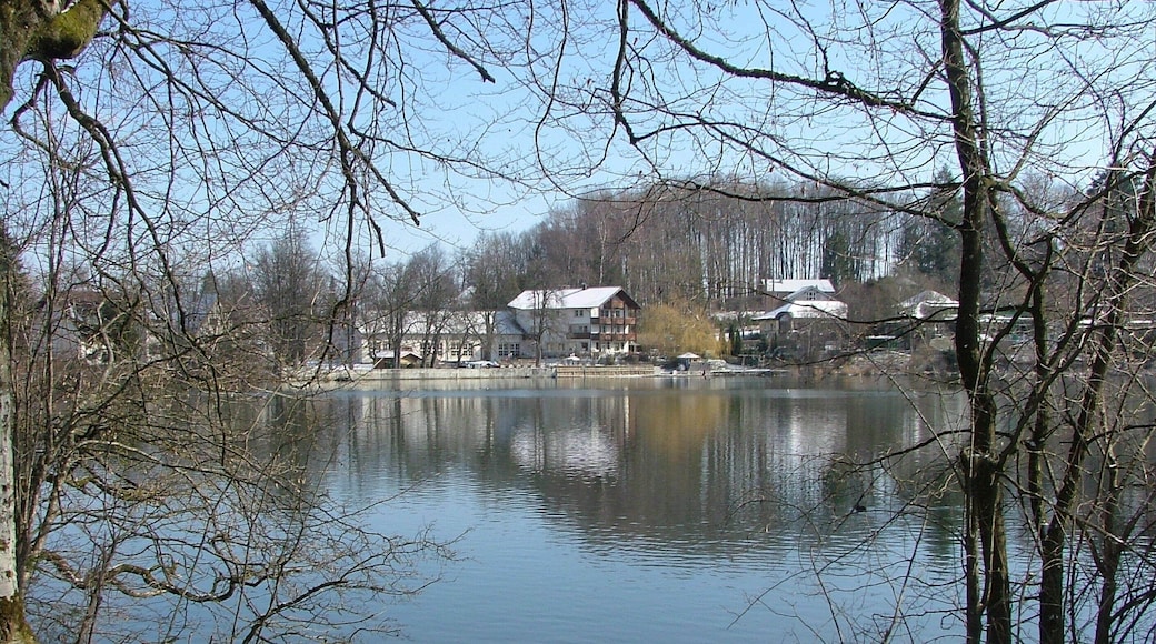 Buxheimer Weiher