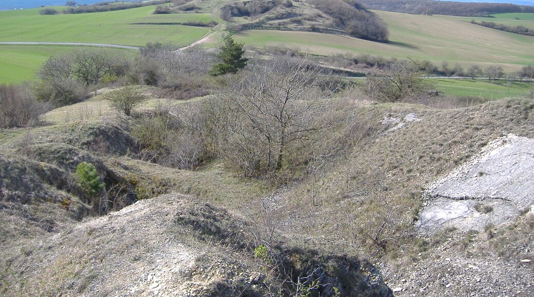 Schmücke Steinrinne