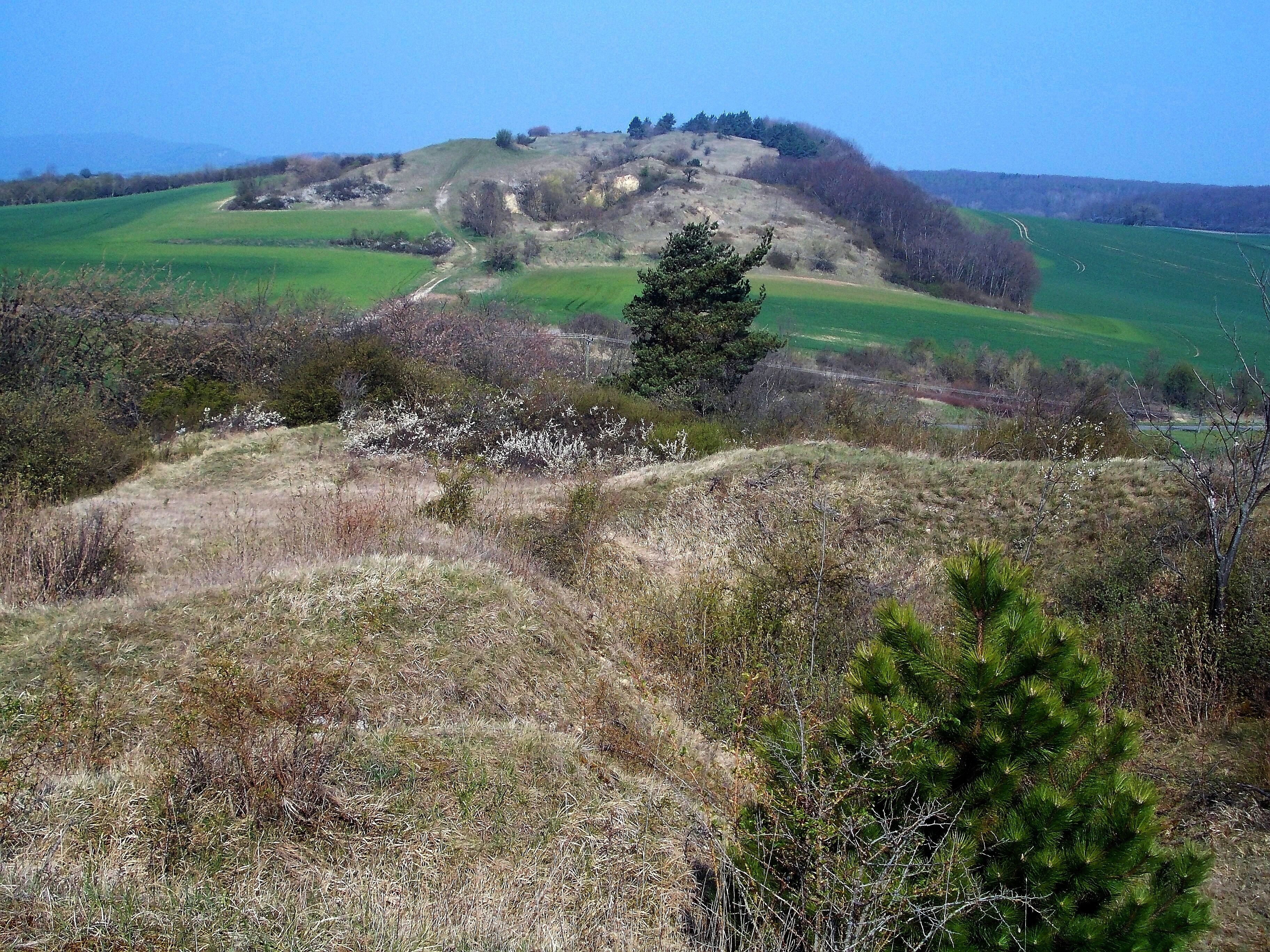 A hilly landscape with green fields, a prominent hill with trees, and a clear sky.