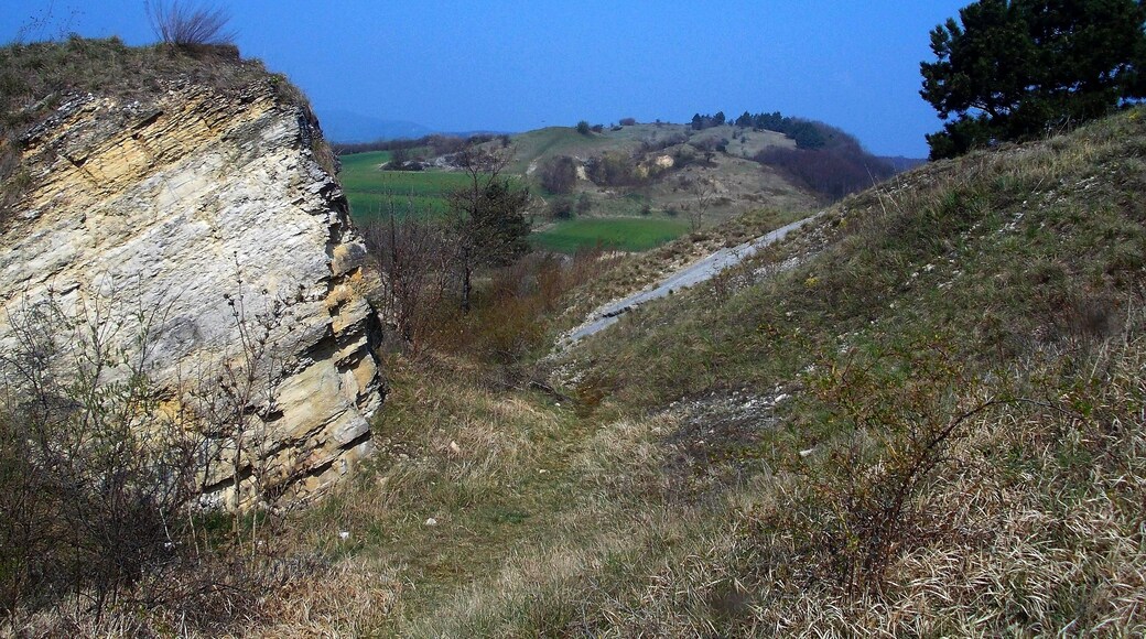 Frühlingsrundwanderung Schmücke bei Heldrungen