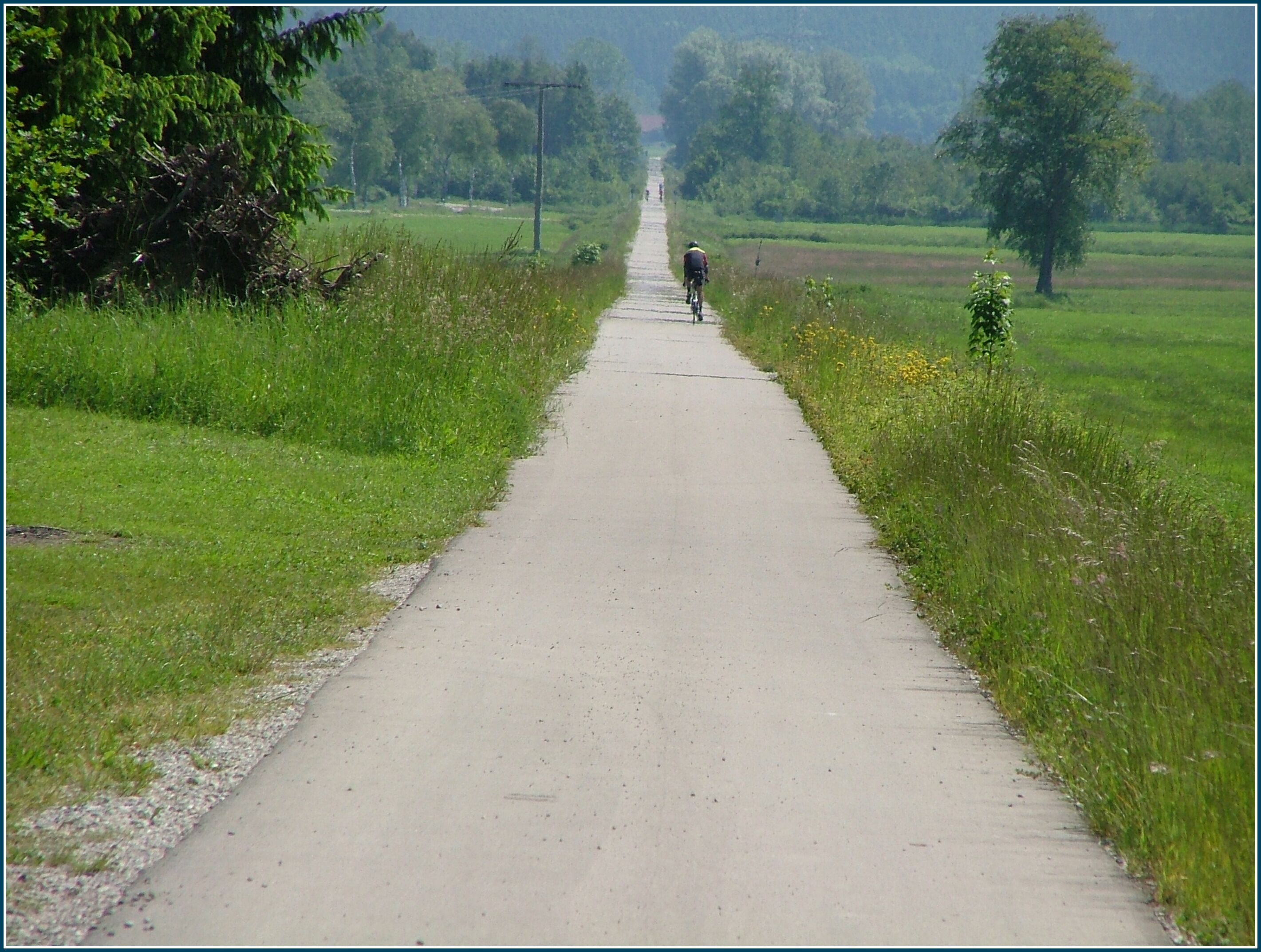 A rural road flanked by fields and trees, leading into the distance.