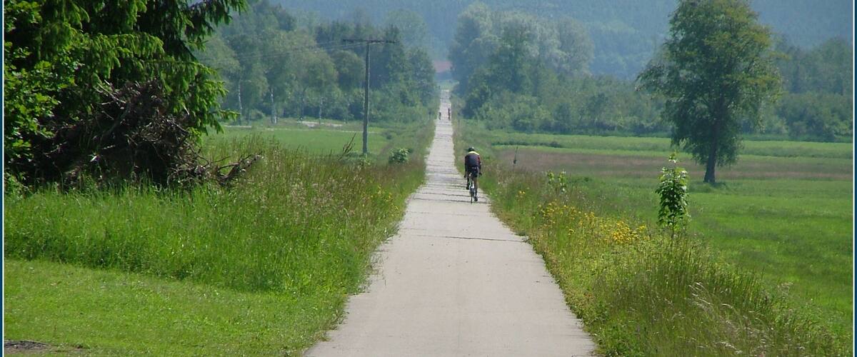 A rural road flanked by fields and trees, leading into the distance.