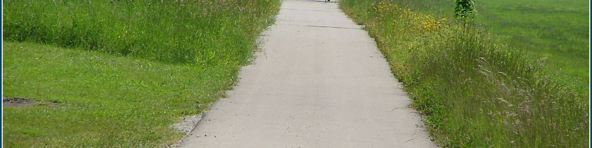 A rural road flanked by fields and trees, leading into the distance.
