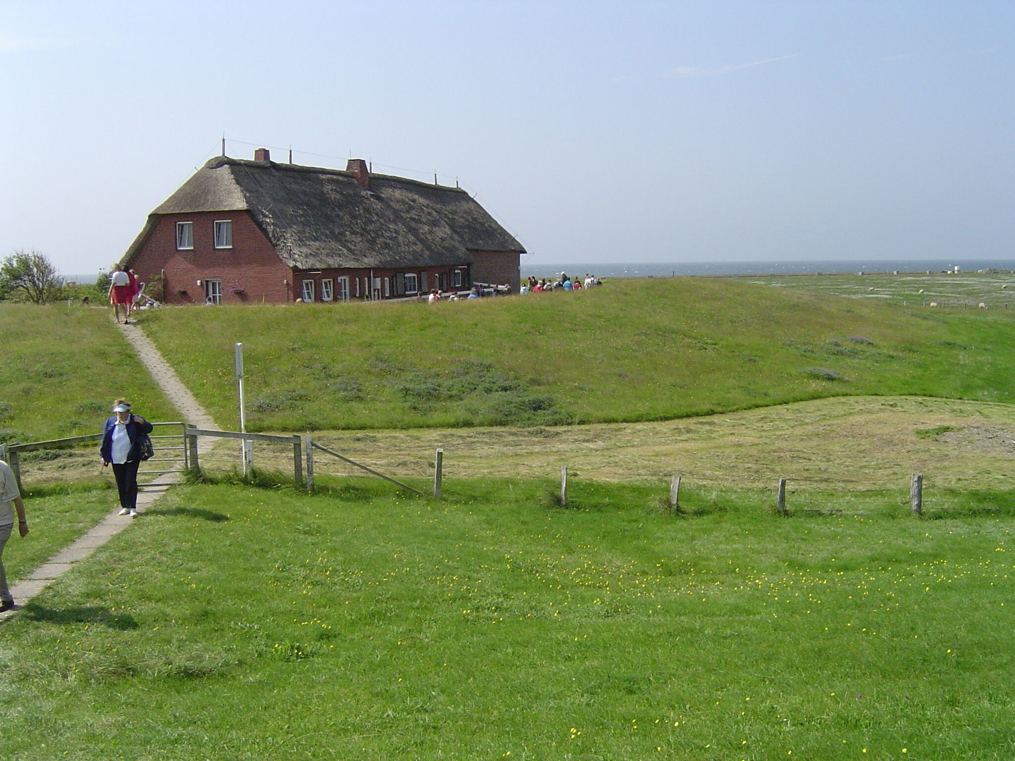 A large thatched-roof house on a grassy hill with a path leading up to it.