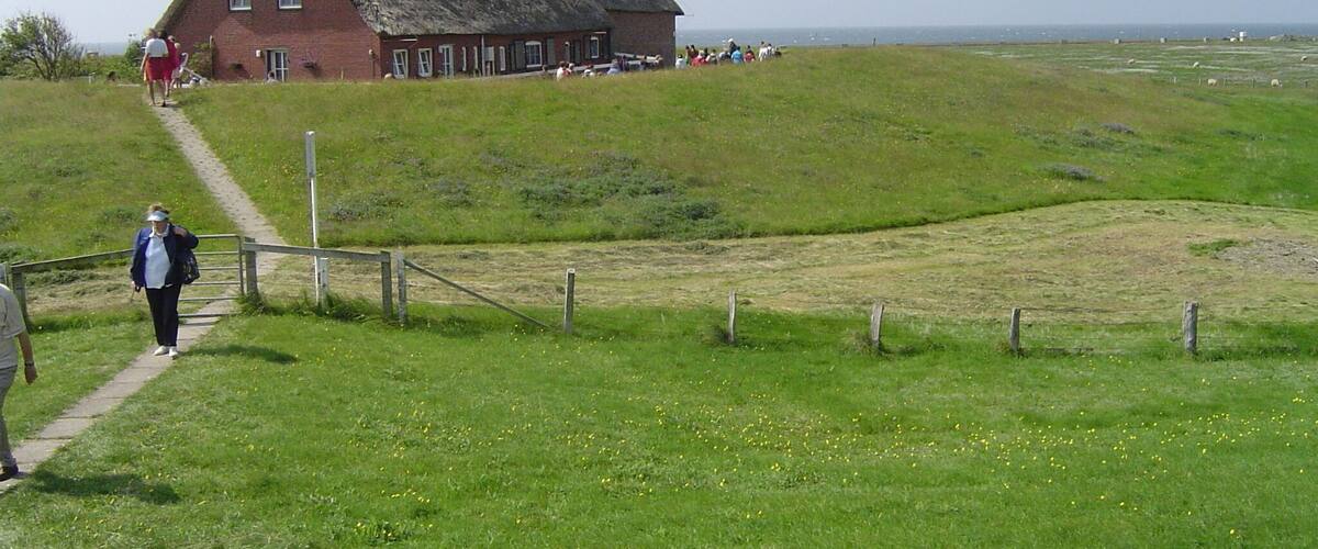 A large thatched-roof house on a grassy hill with a path leading up to it.