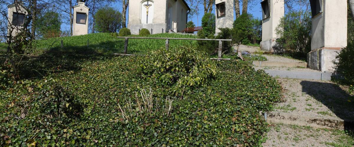 A cemetery with white crosses on tombstones, surrounded by trees and greenery.