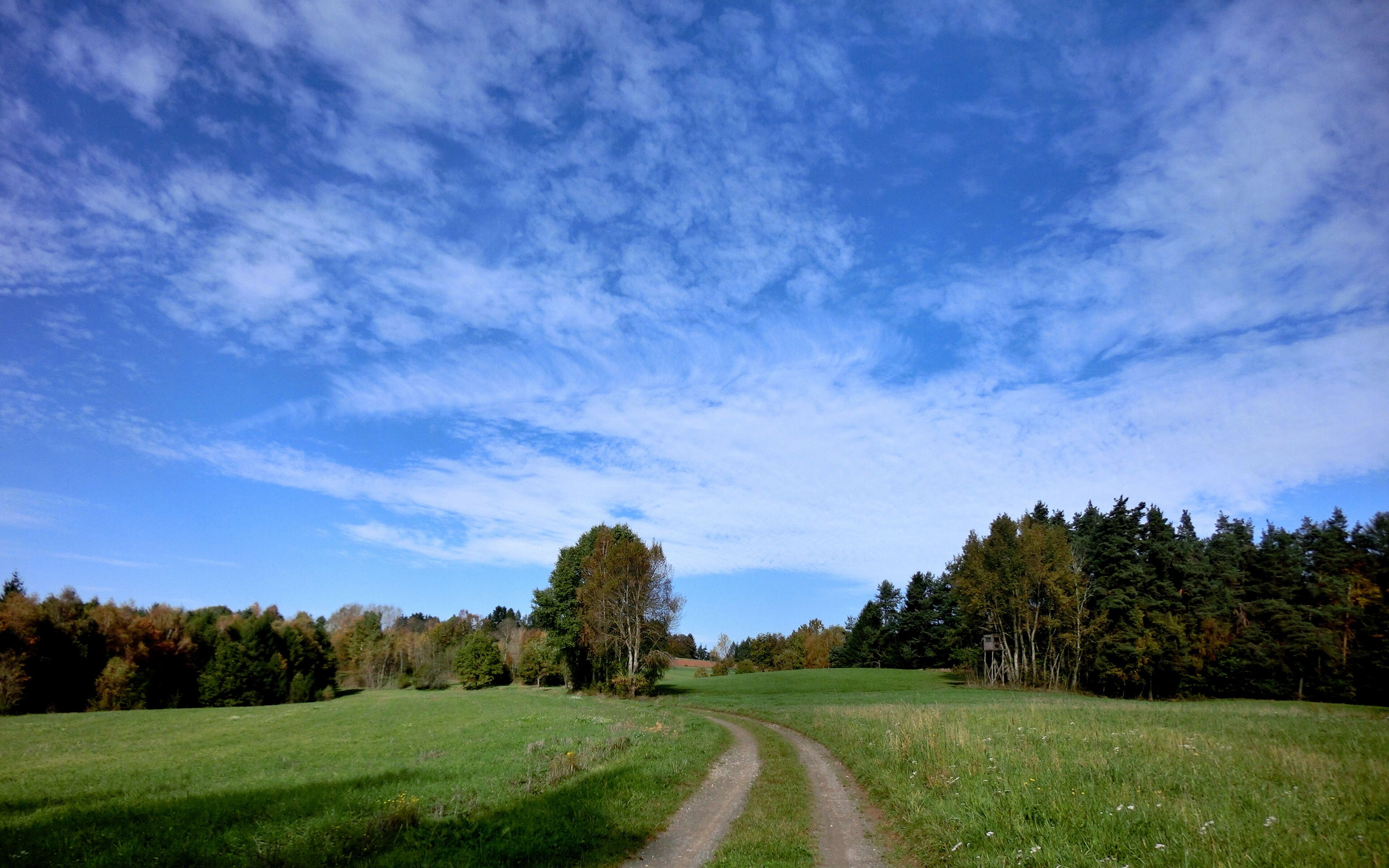 A rural landscape with a dirt path, green fields, and a forest in the background under a partly cloudy sky.