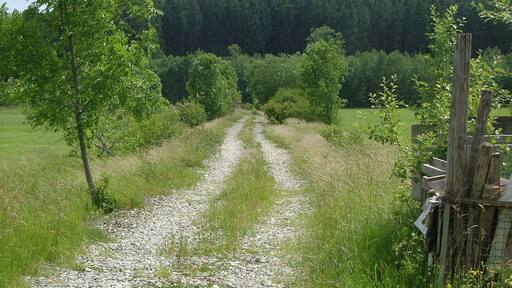 Schotterweg,frĂŒher Bahndamm der Strecke Ottobeuren Ungerhausen