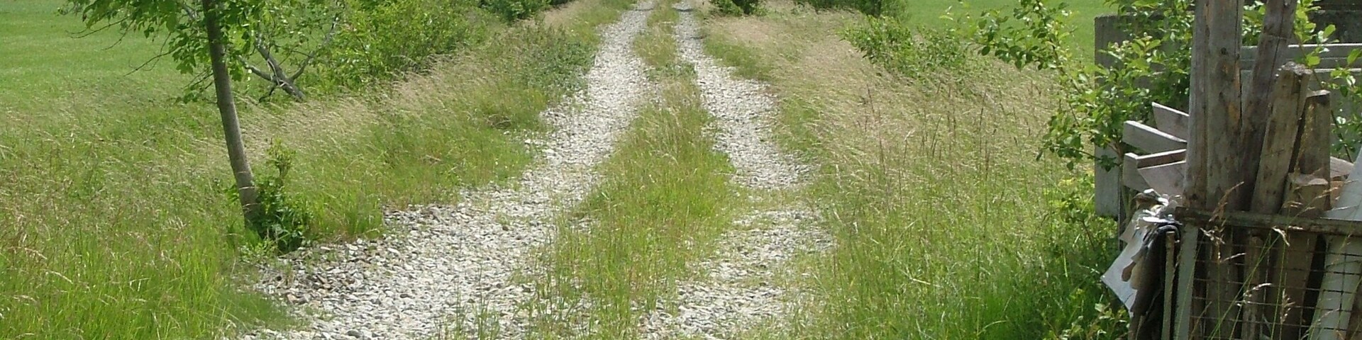 Schotterweg,früher Bahndamm der Strecke Ottobeuren Ungerhausen
