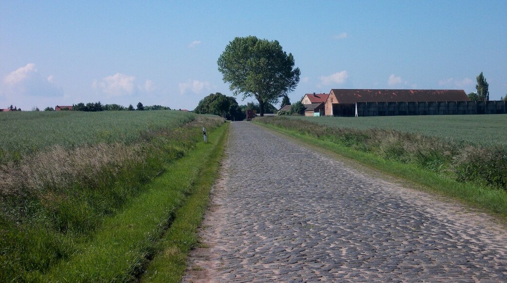 Alberstedt (Farnstädt, district: Saalekreis, Saxony-Anhalt) from the north