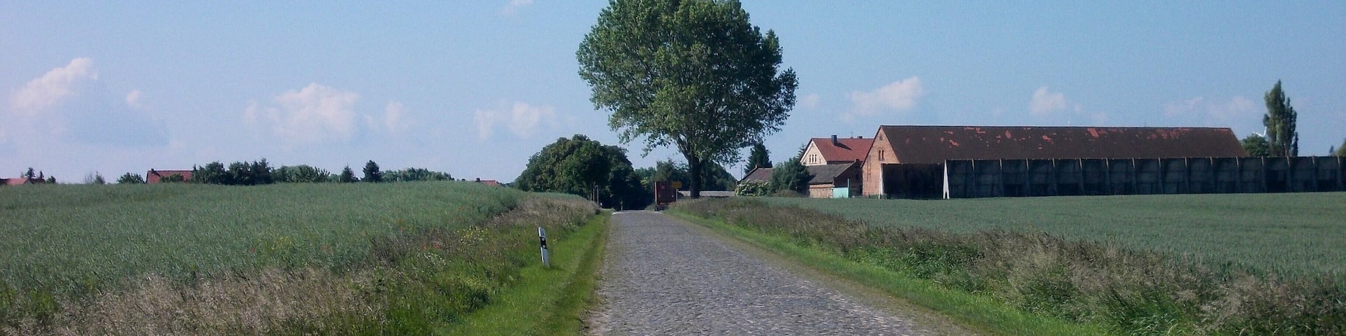 Alberstedt (Farnstädt, district: Saalekreis, Saxony-Anhalt) from the north